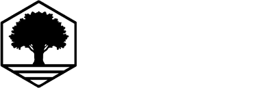 Back to the Wood Floors